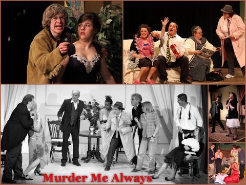 A Medley of Murder Mystery Plays: 3 Comic Mystery Scripts (A Series Of  Mystery Plays) - Mueller, Lee: 9781518750687 - AbeBooks